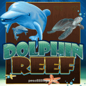 Dolphin Reef Slot Artwork